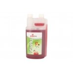 Alyva Orlen TRAWOL 2T RED, 1L