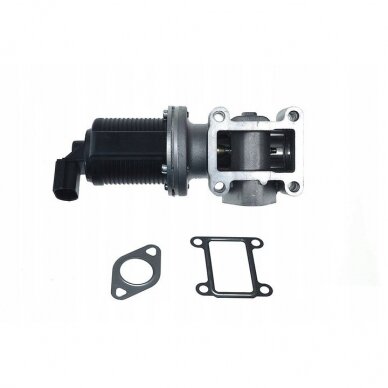 Alfa Romeo, Opel, Saab 1.9 - 2.4 (2004 - 2015) EGR vožtuvas 1