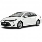 Toyota Corolla E21 2019-