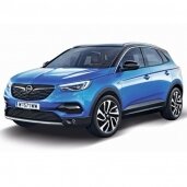 Opel Grandland X (2017 - 2021)